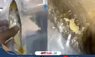 SPPG Cahaya Ngrayun Ponorogo Akui Teledor Usai Viral Temuan Belatung di Menu MBG