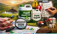 Anggaran Pertanian Lebak 2026 Disorot, Alokasi Pupuk Hayati Cair Mendominasi hingga Rp4,9 Miliar