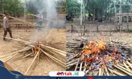 Kapolsek Dedai Pimpin Penertiban Arena Judi Sabung Ayam