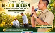 Bupati Lebak Hadiri Panen Raya Melon Golden di Cileles, Dorong Ketahanan Pangan dan Hortikultura