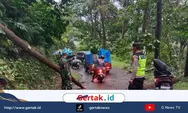 Pohon Tumbang Sempat Tutup Jalur Lebakbarang–Karanganyar, Petugas Gabungan Gerak Cepat Lakukan Evakuasi