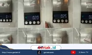 Pengedar Sabu di Pekalongan Digerebek di Kamar Kos, 8 Paket Siap Edar Disita!