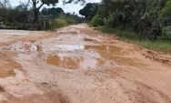 Jalan SP3 Silat Hilir Rusak Parah, Warga Pertanyakan Kelanjutan Pembangunan yang Belum Tuntas