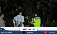 Sempat Dicari Keluarga, Balita di Wiradesa Ditemukan Tak Bernyawa di Kubangan
