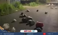 Jalan Baru Karangampel Disesaki Sampah, Warga: Mau Sampai Kapan Dibiarkan?