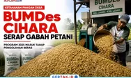 Penyertaan Modal BUMDes Rp186,2 Juta, Desa Cihara Fokus Kembangkan Usaha Serap Gabah dan Produksi Beras