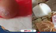 Dapur MBG Trunojoyo Sampang Disorot, Dugaan Makanan Bermasalah Kembali Muncul