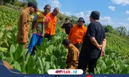 Sawah Sampang Bergemuruh, DPRD dan BPBD Turun Selidiki Fenomena Misterius
