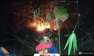 Kebakaran Lahan Bambu di Torjun Sampang Bikin Warga Geger