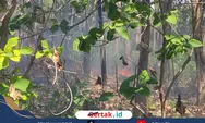 Membakar Sampah Picu Kebakaran Lahan Kering di Sampang, Damkar Taklukan Kobaran Api