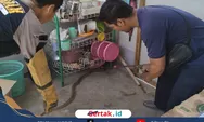 Hampir Terinjak! Ular Berbisa Melingkar di Pintu Rumah Warga Sampang