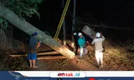 Akses Lebakbarang-Karanganyar Sempat Lumpuh Total Imbas Pohon Tumbang Timpa Kabel PLN