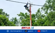 Pemasangan Tiang dan Jaringan PLN di Desa Baru, Silat Hilir Berjalan Lancar dan Kondusif