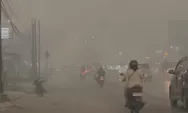 Respons Pernyataan Kepala BNPB yang Sebut Warga Kalimantan Beraktivitas Normal di Tengah Karhutla, Ramai Unggahan soal Kabut Asap