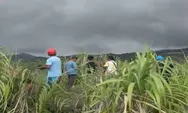Update Erupsi Gunung Dukono: Jumlah Pendaki Hilang Bertambah Jadi Tiga Orang, Operasi SAR Diperluas