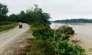 Tebing Muara Tombang Longsor Lagi, Akses Jalan Tanjung-Lubuk Jambi Terancam Putus