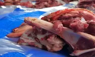 Bahaya Terselubung Kantong Kresek Hitam untuk Bungkus Daging Kurban