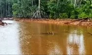 Keruh di Teluk Buli: Desakan Audit Lingkungan PT Feni Haltim Menguat