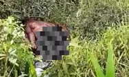 Misteri Jasad Pria di Kawasan Pucuk Rantau, Polisi Buru Identitas Korban