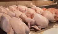 Efek Bergulir MBG: Pasokan Terkontraksi, BPS Bunyikan Alarm Lonjakan Harga Daging Ayam di 188 Daerah