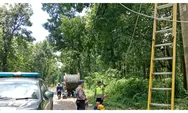 Polsek Bantarbolang Amankan Proses Perbaikan Kabel Listrik yang Tertimpa Pohon Tumbang