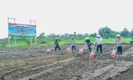 Kapolda Jateng Turun ke Sawah, Tanam Raya Jagung di Karanganyar Dukung Ketahanan Pangan