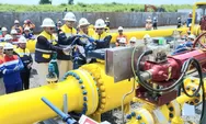 Cisem 2 Beroperasi, Energi Industri Jawa Kini Lebih Andal