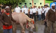Lomban Jepara 2026 Tradisi Syawalan Yang Penuh Berkat