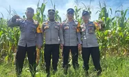 Dukung Ketahanan Pangan, Bhabinkamtibmas Polsek Muara Tami Cek Lahan Jagung Binaan di Koya Barat