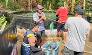 PSN Pulau Penebang Dongkrak Ekonomi Kayong Utara, Tumbuh 5,89% di 2025