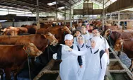 Jelang Idul Adha, Hewan Kurban di Jatim Surplus dan Siap Suplai Provinsi Lain