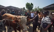 Gunungkidul Kelebihan Hewan Kurban, Siap Kirim ke Daerah Lain