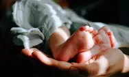 Rumah Penampungan 11 Bayi di Sleman Digerebek, Terungkap Mayoritas Lahir di Luar Nikah