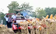 Presiden Prabowo Apresiasi Inovasi Sektor Pangan dan Energi untuk Perkuat Ketahahan Nasional