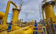 PGN Perluas Pasokan dan LNG Demi Ketahanan Energi Indonesia