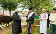 Pemprov Bengkulu Serahkan Bantuan Dua Ekor Sapi Kurban ke Masjid Raya Baitul Izzah