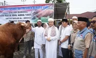 Sapi Kurban Bantuan Presiden Diserahkan untuk Masjid Al Anshor Kota Bengkulu