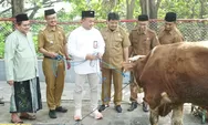 SIG Salurkan 292 Hewan Kurban di 19 Provinsi, Warga Sekitar Pabrik Ikut Rasakan Manfaatnya