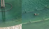 Viral Pria ‘Renang’ di Kolam Bundaran HI, Warganet Heboh soal Keamanan dan Kabel Listrik