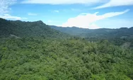 Genesis Pertanyakan Dasar Penurunan Status Hutan Lindung Bukit Sanggul 95 Persen Berhutan