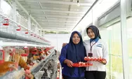 Layani 23,3 Juta Nasabah, PNM Perkuat Budaya Kepatuhan demi Jaga Kepercayaan Publik