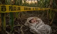 Bayi Perempuan Dibuang Di Ladang Jagung Warga, Polisi Buru Pelaku