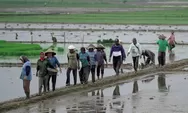 Revisi UU Perlindungan dan Pemberdayaan Petani Dorong Regenerasi dan Kesejahteraan Petani