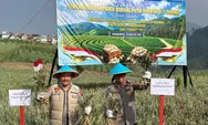 Tawangmangu Jadi Andalan Bawang Putih Jateng, Panen 1,25 Ton Dukung Ketahanan Pangan Nasional