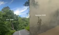 Kabut Asap Kepung Biak Numfor, Warga Keluhkan Jarak Pandang hingga Sekolah Diliburkan