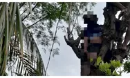 Tersengat Listrik Tegangan Tinggi Saat Pangkas Pakan Ternak, Warga Amarasi Tewas di Atas Pohon