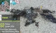 Aksi Emosional di Kupang, Suami Bakar Pakaian Istri dan Ancam Bunuh, Situasi Berhasil Dikendalikan