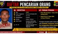 Polda NTT Masukkan Nelayan Asal Sikka ke DPO Kasus Penangkapan Ikan dengan Bahan Peledak
