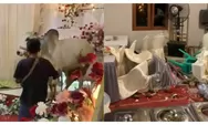 Viral Sapi Ngamuk Masuk Tenda Pernikahan, Kursi Patah hingga Catering Berantakan