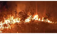 Karhutla Mengganas di Kalimantan, Puluhan Hektare Lahan Terbakar dan Titik Api Bermunculan